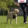 HALTI No Pull Harness Size Medium, Professional Dog Harness to
