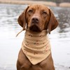 FELLSOCKE süßes Hundehalstuch Bandana waschbar aus Baumwolle (Kirschenmuster, 90x58x58 cm)
