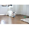 Petmate Interactive Cat Toys - Cat Crazies Multi Pack by