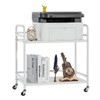 HDANI 2 Tier Under Desk Printer Stand with Storage,Microwave Storage