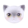 Catlady Cute cat Mirrors,Unbreakable Stainless Steel Mirror,Portable Handheld Vanity Mirror