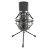 CAD Audio GXL2600USB Large Diaphragm USB Studio Microphone