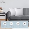 Nalitex Throw Pillow Inserts (Pack of 2, White) 60 GSM
