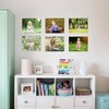 4x6 Acrylic Picture Frames Set of 6, Clear Photo Frame