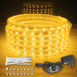 RYGDENG Waterproof Led Light Strips Warm White, 32.8FT Dimmable Outdoor Led Strip Lights Waterproof, 12V Flat String Lights, Flexible Rope Lighting for Indoor Bedroom Deck Patio Christmas Camping