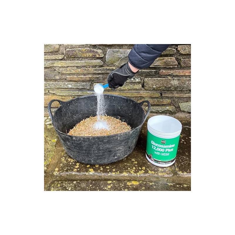 NAF Glucosamine 12,000 Plus with MSM 900g