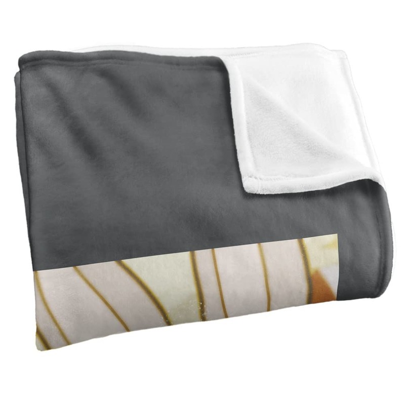 LOGOVISION Looney Tunes Silk Super Soft Throw Blanket 60 x