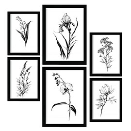 Nacnic Delicate Flowers Posters. Nature and Botany Prints with Floral Themes in Classic Black and White. Aesthetic Illustrations for Interior Design and Decoration. A4 & A3.