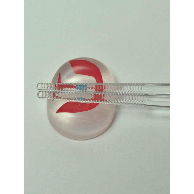 aoba Clear chopsticks Size Ultraman 523321
