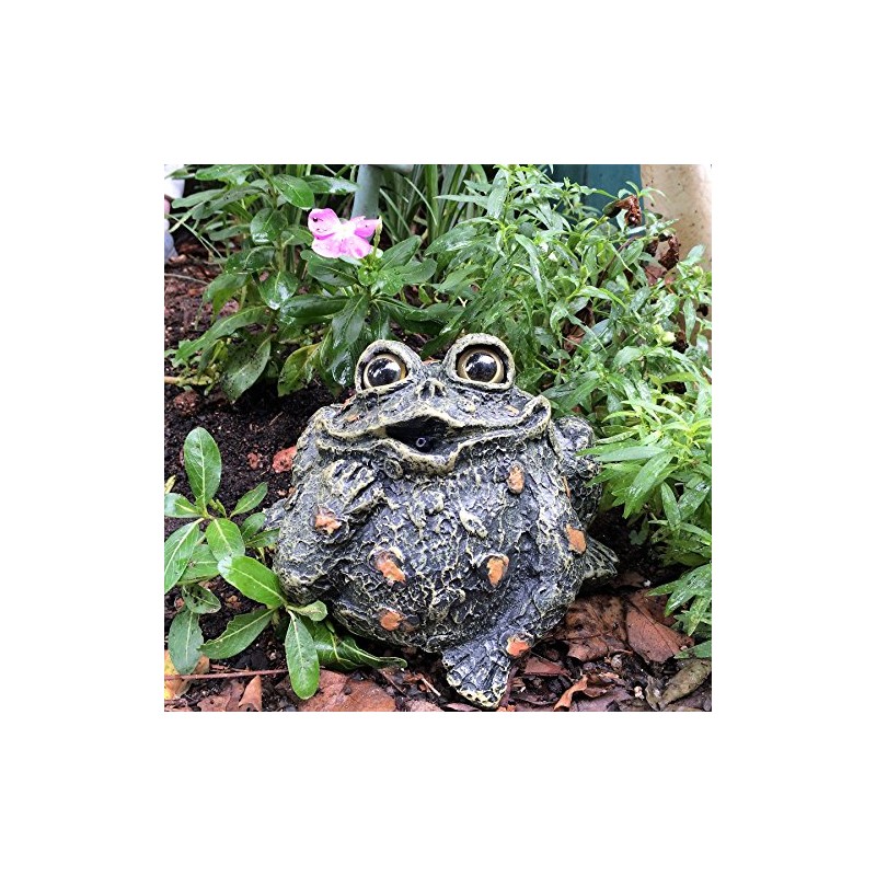 Toad Hollow "Romeo Motion Activated Whistling Toad Statue 6", Natural