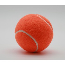 Price's 5 coloured Tennis balls(5)