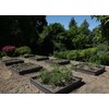 Lifetime 60065 Raised Garden Bed, 4 by 4 Feet, 1