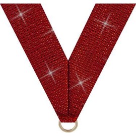 Religious Bible Medals - 2 1/2" Open Bible Religious Medal Award Prime