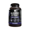 PURE ORIGINAL INGREDIENTS Blueberry Extract (365 Capsule), No Magnesium Or