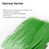 Winsor & Newton Professional Dammar Varnish, 1 Litre (33.8-oz) Can