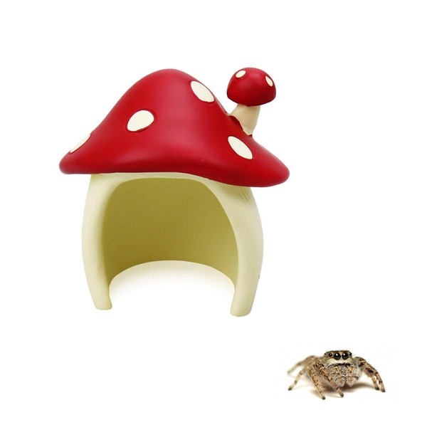 Jumping Spider Mushroom Hide for Pet Spider Decor Jumping Spider