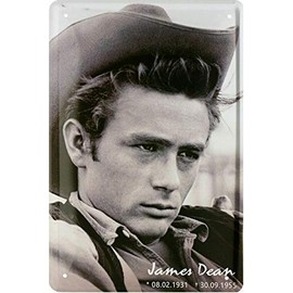 Tin Signs Dennis Stock James Dean Known Personalities Celebrities Decorative Sign Metal Sign Retro Door Sign Vintage Entrance Gift for Birthday or Christmas 20 x 30 cm