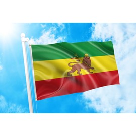 DMSE Ethiopia Ethiopian with Lion of Judah Flag 2X3 Ft Foot 100% Polyester 100D Flag UV Resistant (2'X3' Ft Foot)