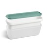 Springlane Set of 2 Ice Containers, 1 Litre, BPA-Free, Food