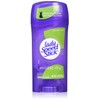 Lady Speed Stick Invisible Dry Antiperspirant & Deodorant, Powder Fresh,
