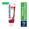 Parodontax Original with Mint and Ginger Flavor, Toothpaste for Bleeding