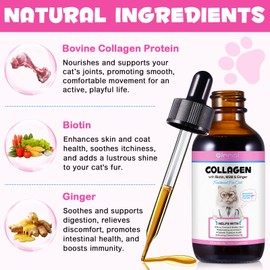 Collagen for Cats 2 fl.oz, Liquid Collagen for Cats Drops, Premium Grass-fed Collagens for Cat Skin and Coat Supplement, Itch Relief for Cat with Allergies Immunity, with Bovine Collagens, Biotin, MSM