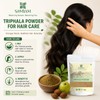 Samyam Triphala Powder, 500g (1.1 lb) pack | For Digestion