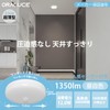 ORALUCE SCL12D-R02 Motion Sensor Ceiling Light, Small, Daylight Color, 12