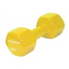 TOORX - Vinyl Dumbbells kg 0.5