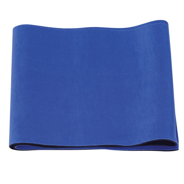 Sunny Health & Fitness Waist Support