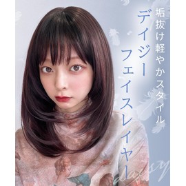 AQUADOLL wg352MBK Medium Semi-Long Layered Inner Mesh Full Wig, One Size Fits Most, Matte Black