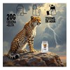 Suplemento Creatina Glutamina Polvo Stormcheetah 1kg 50ser
