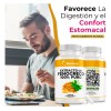 Fenogreco Extracto 100% Puro - Energía, Hormonas Y Vitalidad