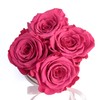 Rosmarie Schulz Heidelberg Rose Box, White Round Infinity Rose, Flower