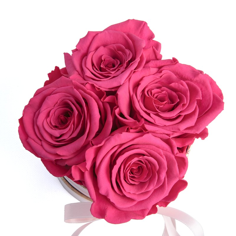 Rosmarie Schulz Heidelberg Rose Box, White Round Infinity Rose, Flower