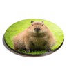 1 x Round Coaster - Funny Moody Capybara Animal Cork