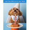 It's My 1st Birthday Girl Puppy Scarf Bandana Pet Walking