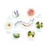 METRORUBORIL SUPREME| LOCION Hidratante y Equilibrante para Pieles Sensibles