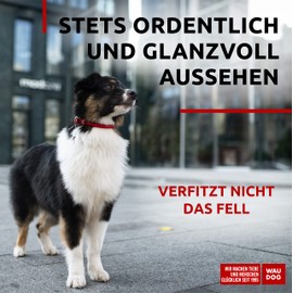 Leather Dog Collar Round Adjustable Dog Collar Large Dogs Leather Dog Collar for Medium Dogs - Dog Collar Leather Small Dogs & Puppy Collars - Digital Dog Tag