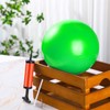 Sonwyoung 2 Pcs Connection Ball with Pump 9 Inch Pilates