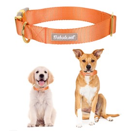 Babole Pet Nylon Dog Collar - Adjustable Orange Soft Webbing Dog Collars for Small Medium Large Dogs Boy Girl Puppy Collar with Safety Metal Buckle L