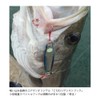COREMAN Metal Jig CZ-30 Zettai On Hook #007 Sardine Gold