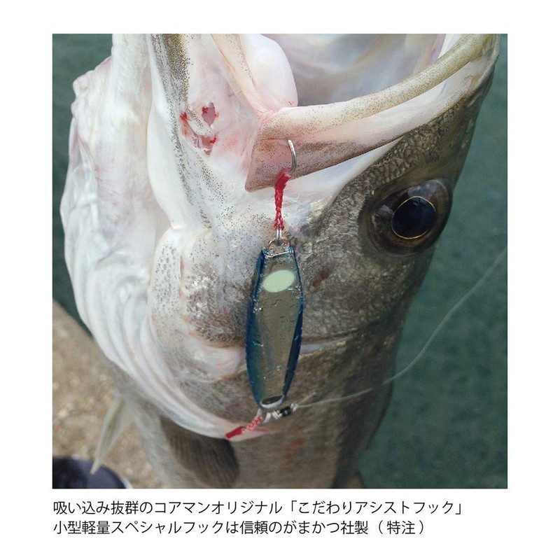 COREMAN Metal Jig CZ-30 Zettai On Hook #007 Sardine Gold