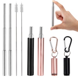 Stainless Steel Straws Set with Brush Telescopic Straws Reusable Portable Keychain for Travel Family Black Rose Gold Pack of 2