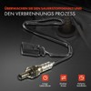 Lambda Sensor Control Probe in Front of Cat for A3