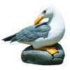 coolboy Real Seagull Figurine Garden Decorations,Seagull Statue Outdoor Decoration,Sea Bird