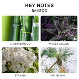 L'odeur Vill Reed Diffuser Set, 6.7 oz(200ml) Bamboo Scented Diffuser with 6 Oil Diffuser Sticks, Home Fragrance Essential Oil Reed Diffuser for Home Large Rooms Bathroom Shelf Decor