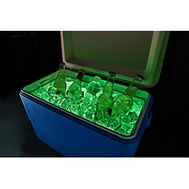 Brightz CoolerBrightz LED Cooler Light Accessory, Green