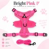 Cat Harness and Leash Set for Indoor Cats & Small