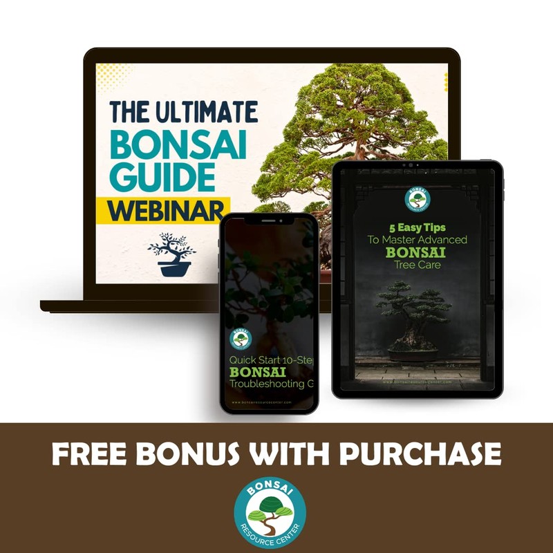 Bonsai Tree Food | Liquid Fertilizer for Bonsai Trees -